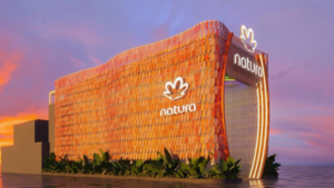 MUSICA CONECTA Natura Rock in Rio